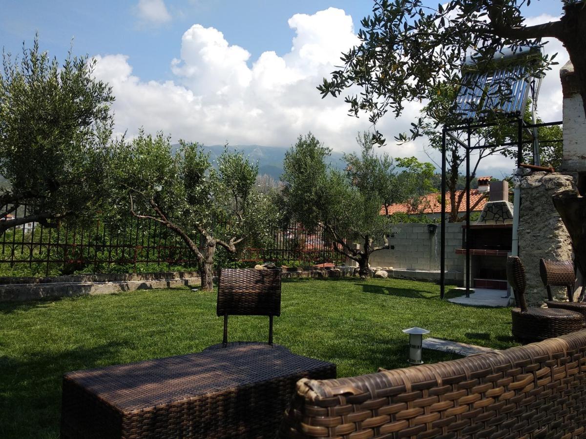 Villa Agnanti Apts And Suites Agio Pnevma المظهر الخارجي الصورة